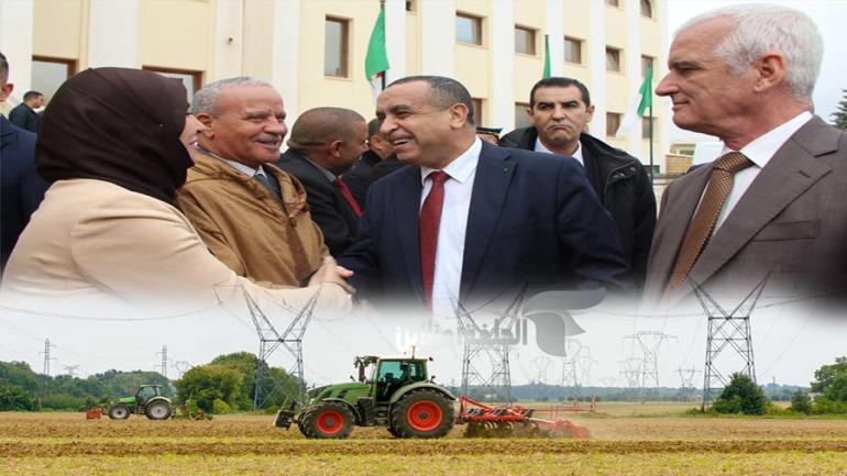 الجلفة تتصدر الاستثمار الفلاحي بالطاقة: الوزير عجال يكشف ربط 12 ألف مستثمرة ويؤكد انطلاقة تنموية غير مسبوقة