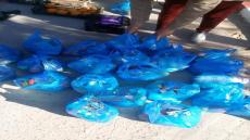 – منظمة التحالف الوطني للشباب الجزائري – مكتب عين وسارة ينظم زيارة لمستشفى المدينة.