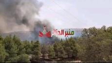 الحماية المدنية تتمكن من إخماد أغلب حرائق الغابات بعدة ولايات