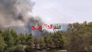 الحماية المدنية تتمكن من إخماد أغلب حرائق الغابات بعدة ولايات