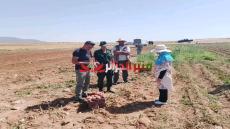 حسب الإحصاء العام للفلاحة | تسجيل أزيد من 230 ألف مستثمرة فلاحية جديدة