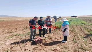 حسب الإحصاء العام للفلاحة | تسجيل أزيد من 230 ألف مستثمرة فلاحية جديدة