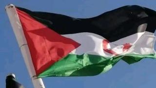 مطالب بضرورة إرسال بعثات مراقبة دولية إلى الصحراء الغربية