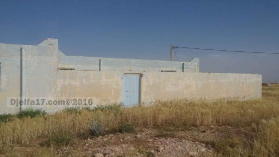 أحدث اتجاه ساخن على إنستغرام: لماذا اعتنق الشهير الاتجاه لتفريغ الصور