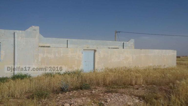 أحدث اتجاه ساخن على إنستغرام: لماذا اعتنق الشهير الاتجاه لتفريغ الصور