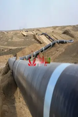 تفاقم الأوضاع في النيجر: تخريب خط أنابيب النفط يزيد الضغوط على قادة الانقلاب