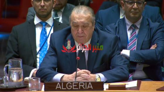 الجزائر تثني على قرار مجلس الأمن وتجدد دعمها لوحدة الأراضي السورية