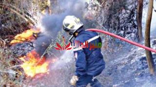 إخماد جميع حرائق الغابات بتيزي وزو