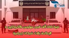 ضبط 340 ألف قرص مهلوس والكوكايين و الإطاحة بثلاث شبكات إجرامية