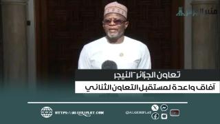 الجزائر-النيجر: آفاق واعدة لمستقبل التعاون الثنائي