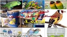 افتتاح السوق الأسبوعي “للعصافير و الطيور” بالبيرين … تظاهرة اقتصادية لأصحاب الذوق الرفيع