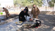 شباب دارالشيوخ يحتفلون باليوم العالمي لشجرة المصادف لـ21مارس 2017