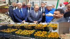 وزير الصناعة سيفي غريب في زيارة ميدانية إلى ولاية الجلفة: دعم للاستثمار وتفعيل مشاريع صناعية استراتيجية