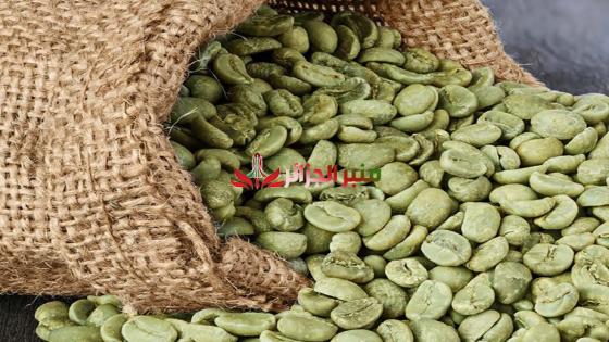 ضبط أكثر من 6 آلاف طن من القهوة الخضراء في ميناء الجزائر: وزير التجارة يكشف
